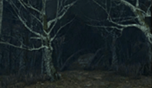 Huntsman's Copse